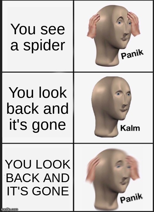 AAAAAHHHHHHH! |  You see a spider; You look back and it's gone; YOU LOOK BACK AND IT'S GONE | image tagged in memes,panik kalm panik,spider | made w/ Imgflip meme maker