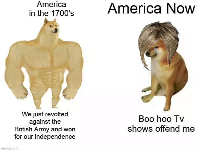 It's just evolving, Just Backwards | America in the 1700's; America Now; We just revolted against the British Army and won for our independence; Boo hoo Tv shows offend me | image tagged in buff doge vs cheems,memes,dank memes | made w/ Imgflip meme maker