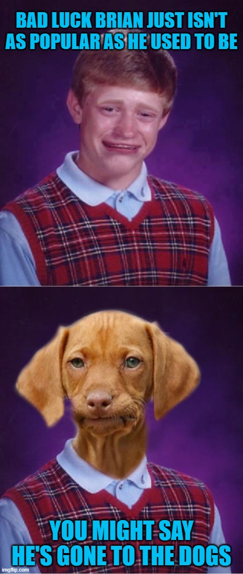 BAD LUCK BRIAN JUST ISN'T AS POPULAR AS HE USED TO BE; YOU MIGHT SAY HE'S GONE TO THE DOGS | image tagged in bad luck brian cry,bad luck raydog | made w/ Imgflip meme maker