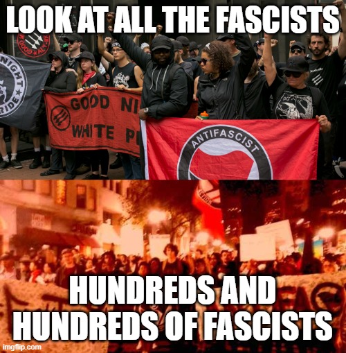 LOOK AT ALL THE FASCISTS HUNDREDS AND HUNDREDS OF FASCISTS | made w/ Imgflip meme maker