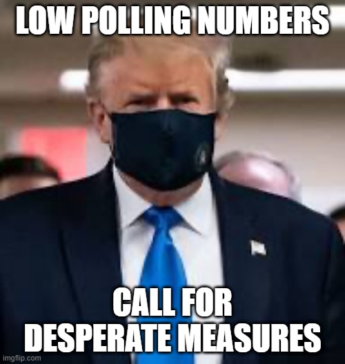 Desperate measures! | LOW POLLING NUMBERS; CALL FOR DESPERATE MEASURES | image tagged in trump mask | made w/ Imgflip meme maker