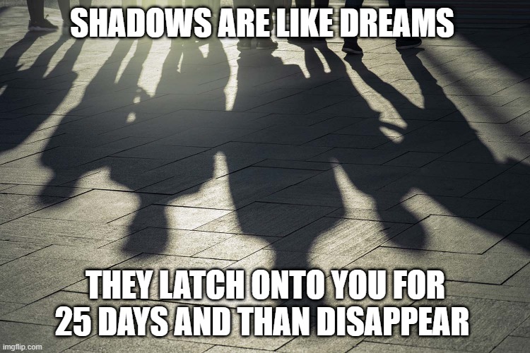 the comparison meme | SHADOWS ARE LIKE DREAMS; THEY LATCH ONTO YOU FOR 25 DAYS AND THAN DISAPPEAR | image tagged in funny | made w/ Imgflip meme maker
