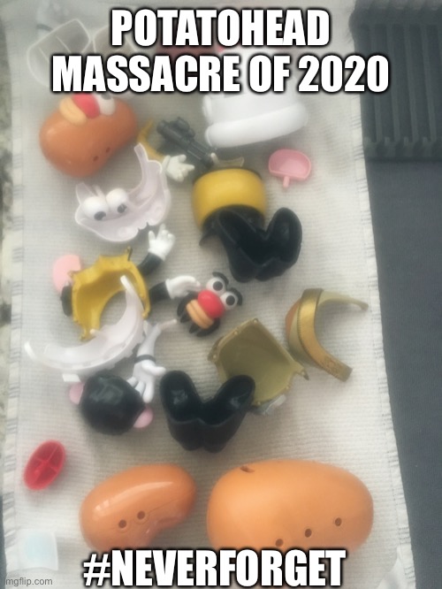 Potatohead Massacre | POTATOHEAD MASSACRE OF 2020; #NEVERFORGET | image tagged in toys,mr potato head,funny,never forget | made w/ Imgflip meme maker
