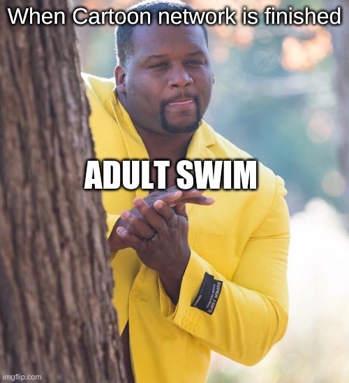 When someone | When Cartoon network is finished; ADULT SWIM | image tagged in when someone,adult swim | made w/ Imgflip meme maker