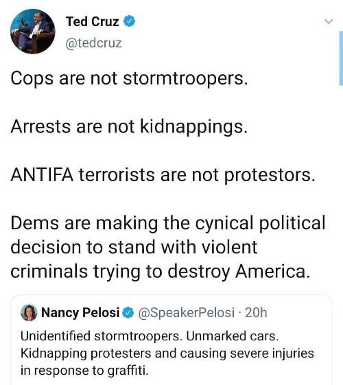 Undeniable PROOF Nancy Pelosi is Mentally Incompetent | image tagged in ted cruz,nancy pelosi is crazy,nancy pelosi,mental illness,mental health,crazy lady | made w/ Imgflip meme maker