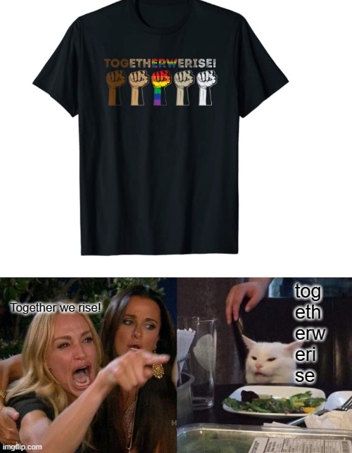 tog 
eth
erw
eri
se; Together we rise! | image tagged in memes,woman yelling at cat | made w/ Imgflip meme maker