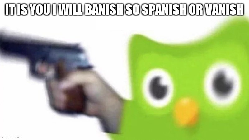 duolingo gun | IT IS YOU I WILL BANISH SO SPANISH OR VANISH | image tagged in duolingo gun | made w/ Imgflip meme maker