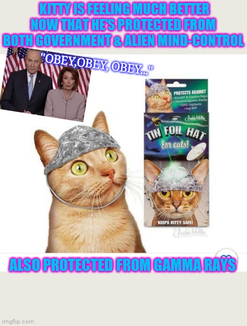 Tin-Foil Keeps Kitty Safe | KITTY IS FEELING MUCH BETTER NOW THAT HE'S PROTECTED FROM BOTH GOVERNMENT & ALIEN MIND-CONTROL; "OBEY,OBEY, OBEY..."; ALSO PROTECTED FROM GAMMA RAYS | image tagged in tinfoil hat,safety,this isn't how you're supposed to play the game | made w/ Imgflip meme maker