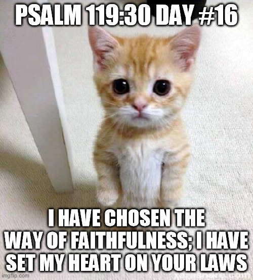 Cute Cat Meme | PSALM 119:30 DAY #16; I HAVE CHOSEN THE WAY OF FAITHFULNESS; I HAVE SET MY HEART ON YOUR LAWS | image tagged in memes,cute cat | made w/ Imgflip meme maker