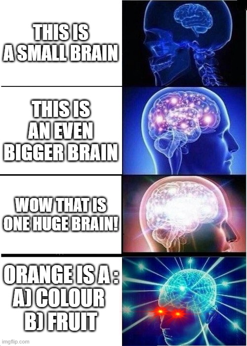 ???????? | THIS IS A SMALL BRAIN; THIS IS AN EVEN BIGGER BRAIN; WOW THAT IS ONE HUGE BRAIN! ORANGE IS A :
A) COLOUR 
B) FRUIT | image tagged in memes,expanding brain | made w/ Imgflip meme maker