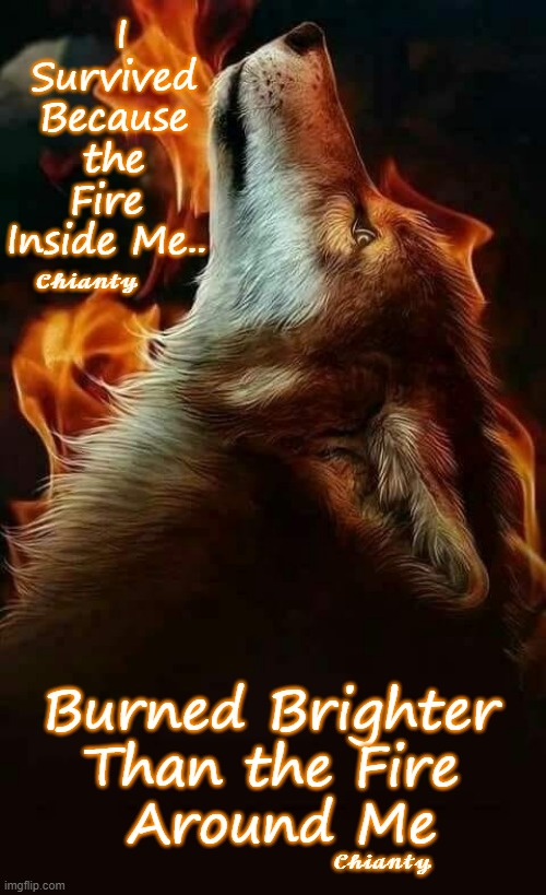 Inside Me | I Survived
Because the Fire 
Inside Me.. 𝓒𝓱𝓲𝓪𝓷𝓽𝔂; Burned Brighter
Than the Fire
 Around Me; 𝓒𝓱𝓲𝓪𝓷𝓽𝔂 | image tagged in fire | made w/ Imgflip meme maker