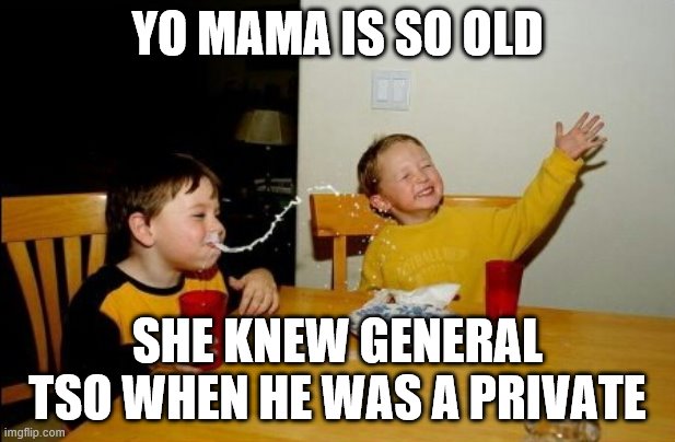 Yo mama is so old | YO MAMA IS SO OLD; SHE KNEW GENERAL TSO WHEN HE WAS A PRIVATE | image tagged in memes,yo mamas so fat,jokes | made w/ Imgflip meme maker