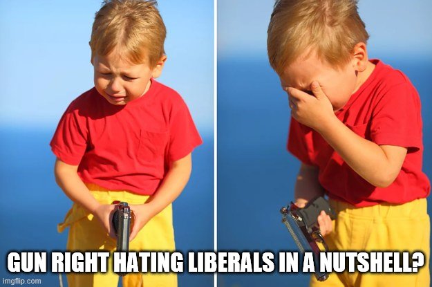 Yay or nay? | GUN RIGHT HATING LIBERALS IN A NUTSHELL? | image tagged in crying kid with gun,2nd amendment,stupid liberals,guns | made w/ Imgflip meme maker