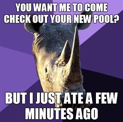 Sexually Oblivious Rhino Meme | image tagged in memes,sexually oblivious rhino