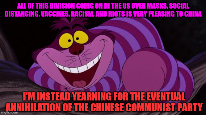 The Bigger Picture | ALL OF THIS DIVISION GOING ON IN THE US OVER MASKS, SOCIAL DISTANCING, VACCINES, RACISM, AND RIOTS IS VERY PLEASING TO CHINA; I'M INSTEAD YEARNING FOR THE EVENTUAL ANNIHILATION OF THE CHINESE COMMUNIST PARTY | image tagged in cheshire cat,masks,covid-19,china,communist,racism | made w/ Imgflip meme maker