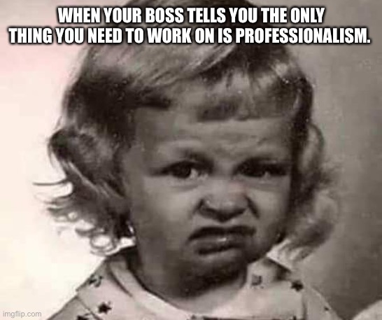 Ugh | WHEN YOUR BOSS TELLS YOU THE ONLY THING YOU NEED TO WORK ON IS PROFESSIONALISM. | image tagged in work,boss,coworkers,feelings,professional,professionals have standards | made w/ Imgflip meme maker