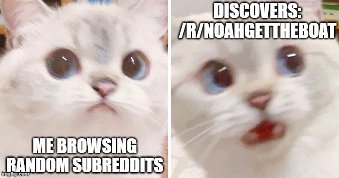 DISCOVERS: /R/NOAHGETTHEBOAT; ME BROWSING RANDOM SUBREDDITS | made w/ Imgflip meme maker