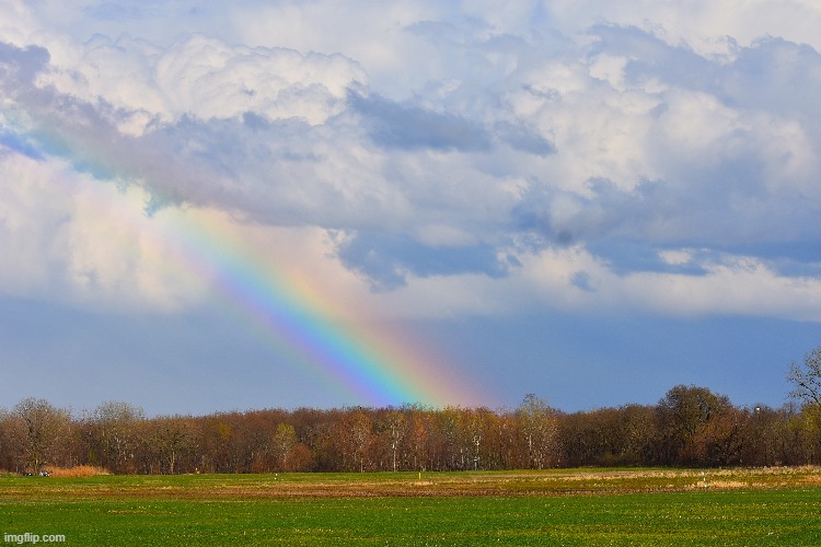 rainbow | image tagged in the end of my street,kewlew | made w/ Imgflip meme maker