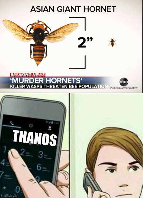 Sorry didn’t know someone did thanos already | THANOS | image tagged in calling 911 | made w/ Imgflip meme maker