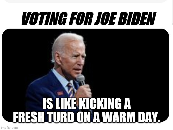 Joe Biden | VOTING FOR JOE BIDEN; IS LIKE KICKING A FRESH TURD ON A WARM DAY. | image tagged in joe biden | made w/ Imgflip meme maker