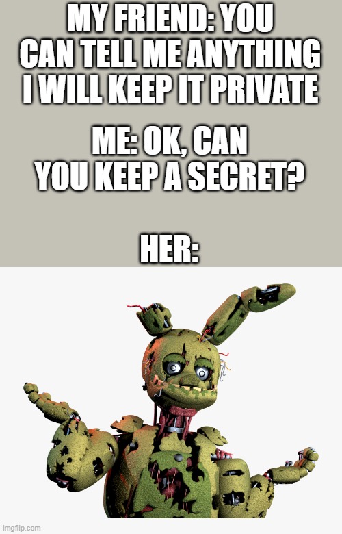 ... | MY FRIEND: YOU CAN TELL ME ANYTHING I WILL KEEP IT PRIVATE; ME: OK, CAN YOU KEEP A SECRET? HER: | image tagged in derpy springtrap,memes,dank memes | made w/ Imgflip meme maker