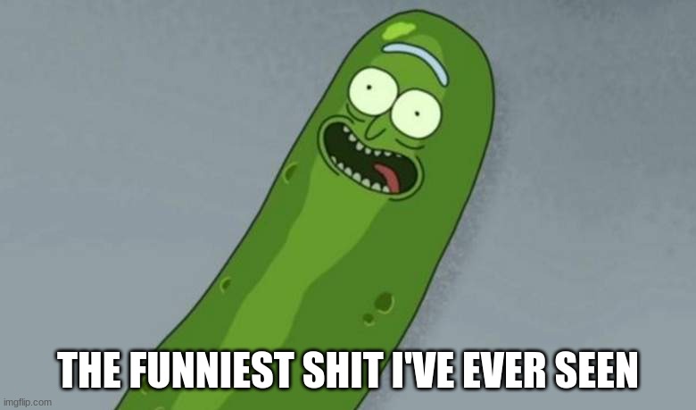 Pickle rick | THE FUNNIEST SHIT I'VE EVER SEEN | image tagged in pickle rick | made w/ Imgflip meme maker