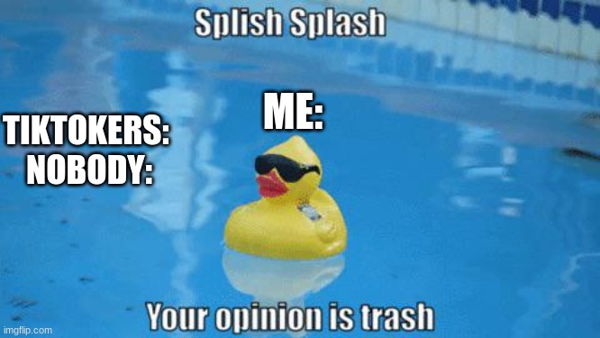 Splish Splash your opinion is trash | TIKTOKERS: 
NOBODY: ME: | image tagged in splish splash your opinion is trash | made w/ Imgflip meme maker