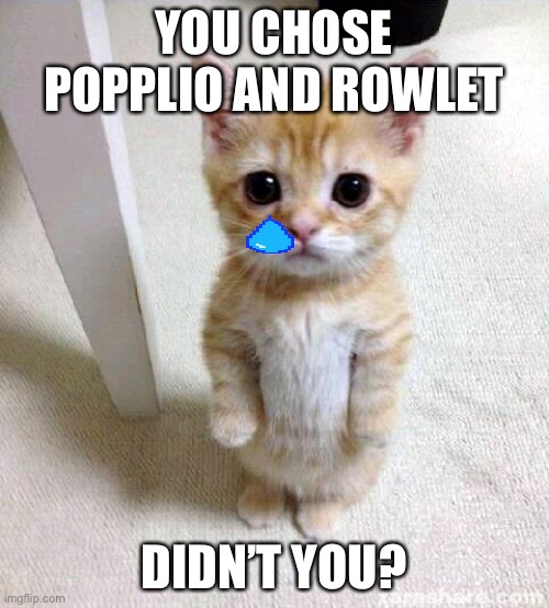 Cute Cat Meme | YOU CHOSE POPPLIO AND ROWLET; DIDN’T YOU? | image tagged in memes,cute cat | made w/ Imgflip meme maker