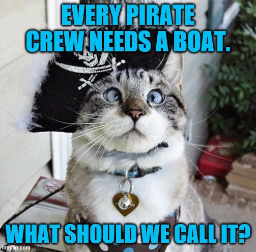 Spangles Meme | EVERY PIRATE CREW NEEDS A BOAT. WHAT SHOULD WE CALL IT? | image tagged in memes,spangles | made w/ Imgflip meme maker