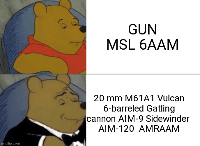 Tuxedo Winnie The Pooh Meme | GUN MSL 6AAM; 20 mm M61A1 Vulcan 6-barreled Gatling cannon AIM-9 Sidewinder 
AIM-120  AMRAAM | image tagged in memes,tuxedo winnie the pooh | made w/ Imgflip meme maker