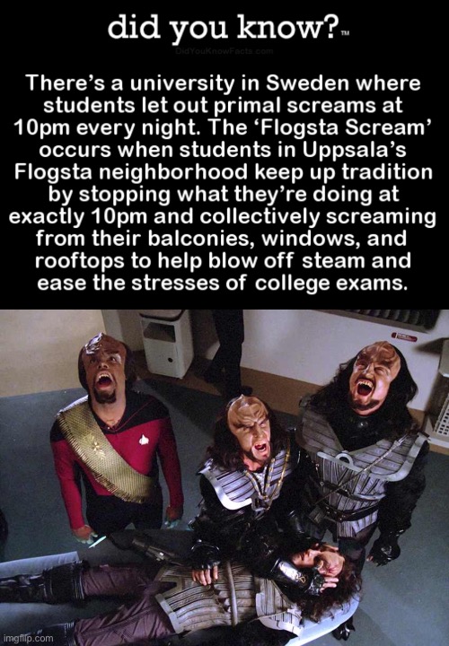 image tagged in klingon death scream | made w/ Imgflip meme maker