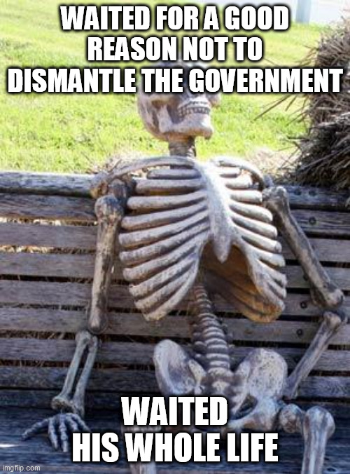 Spoiler Alert: There ARE No Good Reasons | WAITED FOR A GOOD REASON NOT TO DISMANTLE THE GOVERNMENT; WAITED HIS WHOLE LIFE | image tagged in memes,waiting skeleton,government,anti government,anti-government,politics | made w/ Imgflip meme maker