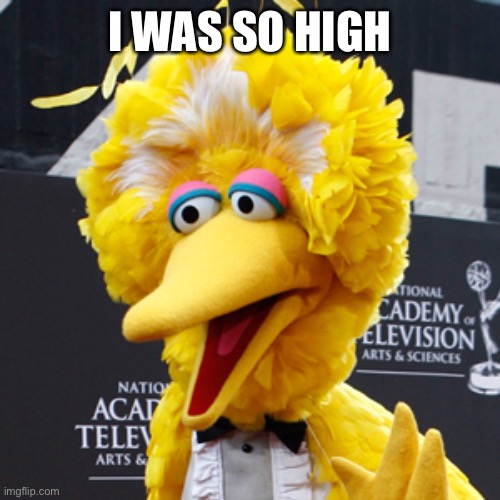 Big Bird Meme | I WAS SO HIGH | image tagged in memes,big bird | made w/ Imgflip meme maker