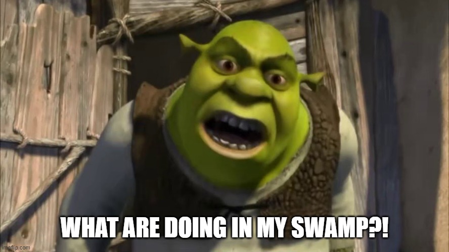 what are you doing in my swamp | WHAT ARE DOING IN MY SWAMP?! | image tagged in what are you doing in my swamp | made w/ Imgflip meme maker