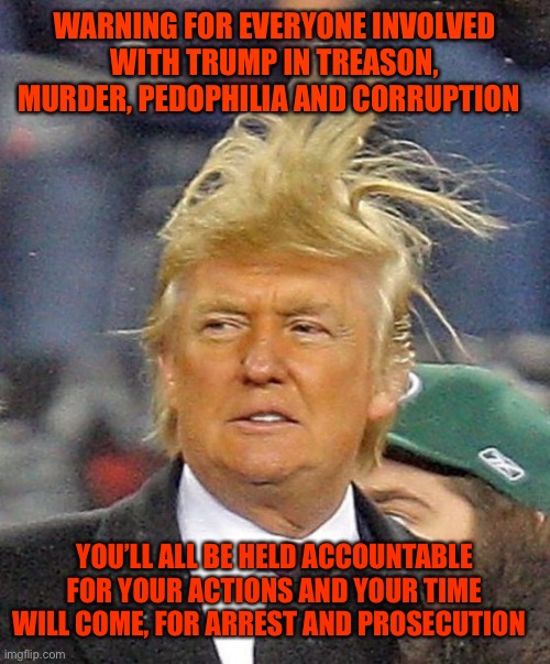 Donald Trumph hair | WARNING FOR EVERYONE INVOLVED WITH TRUMP IN TREASON, MURDER, PEDOPHILIA AND CORRUPTION; YOU’LL ALL BE HELD ACCOUNTABLE FOR YOUR ACTIONS AND YOUR TIME WILL COME, FOR ARREST AND PROSECUTION | image tagged in donald trumph hair | made w/ Imgflip meme maker