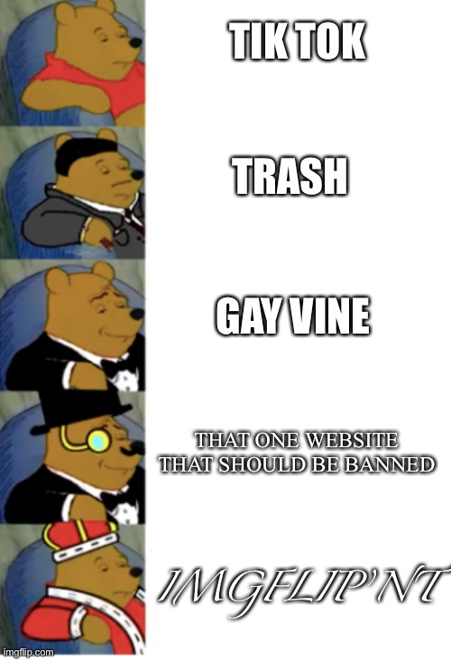 Tik tok is trash | TIK TOK; TRASH; GAY VINE; THAT ONE WEBSITE THAT SHOULD BE BANNED; IMGFLIP’NT | image tagged in ultimate fancy pooh | made w/ Imgflip meme maker