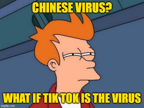 Futurama Fry Meme | CHINESE VIRUS? WHAT IF TIK TOK IS THE VIRUS | image tagged in memes,futurama fry | made w/ Imgflip meme maker