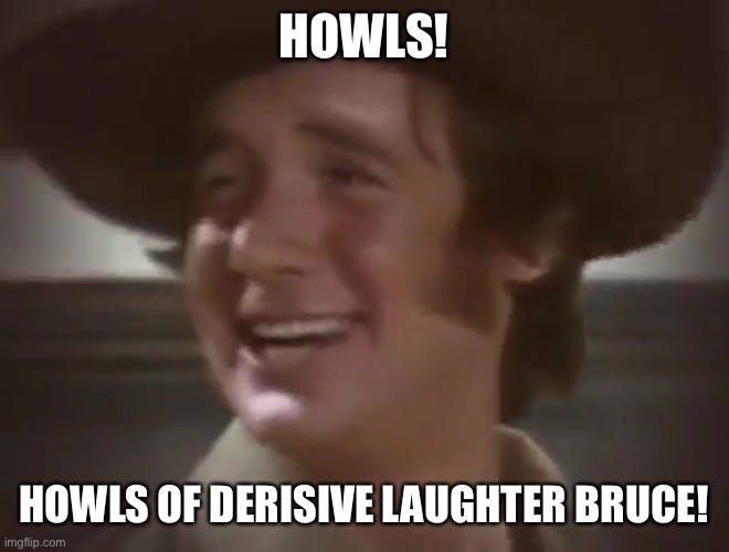 Howls of derisive laughter Bruce | HOWLS! HOWLS OF DERISIVE LAUGHTER BRUCE! | image tagged in howls | made w/ Imgflip meme maker