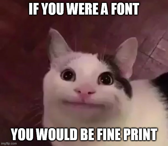 Awkward Cat | IF YOU WERE A FONT; YOU WOULD BE FINE PRINT | image tagged in awkward cat | made w/ Imgflip meme maker