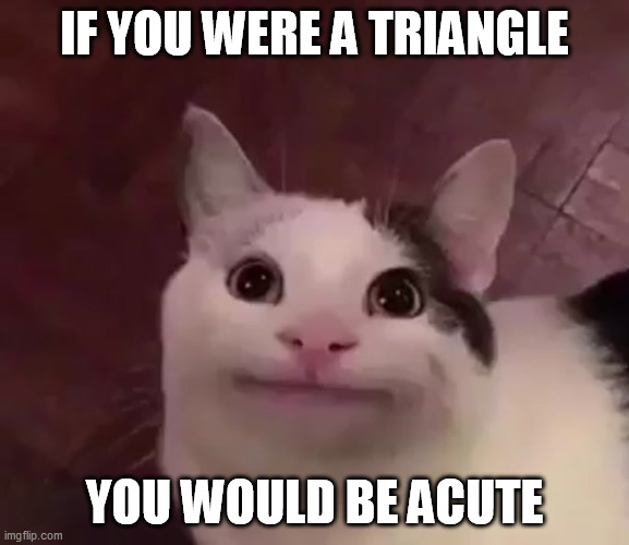 Awkward Cat | IF YOU WERE A TRIANGLE; YOU WOULD BE ACUTE | image tagged in awkward cat | made w/ Imgflip meme maker