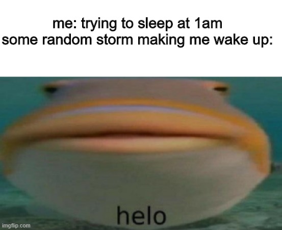 i hate living where i am because storms just spawn at 1am | me: trying to sleep at 1am
some random storm making me wake up: | image tagged in helo | made w/ Imgflip meme maker