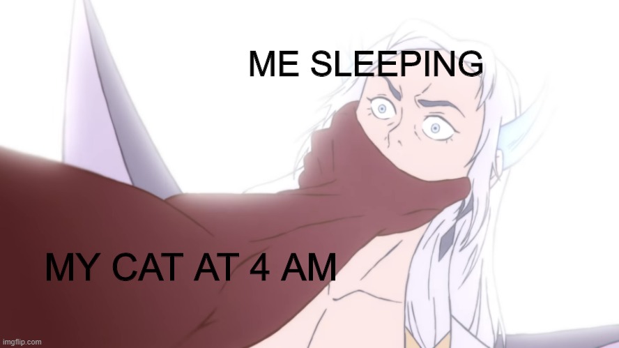 Me Sleeping | ME SLEEPING; MY CAT AT 4 AM | image tagged in cat,sleeping,league of legends | made w/ Imgflip meme maker