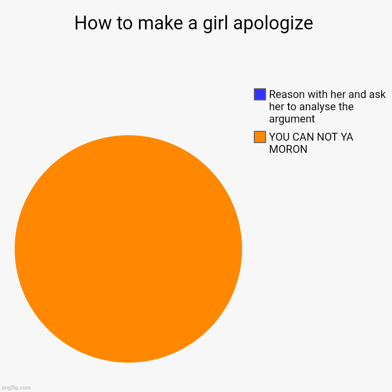 How to make a girl apologize | YOU CAN NOT YA MORON, Reason with her and ask her to analyse the argument | image tagged in charts,pie charts | made w/ Imgflip chart maker