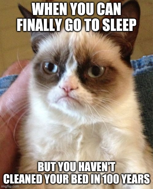 Grumpy Cat | WHEN YOU CAN FINALLY GO TO SLEEP; BUT YOU HAVEN'T CLEANED YOUR BED IN 100 YEARS | image tagged in memes,grumpy cat | made w/ Imgflip meme maker