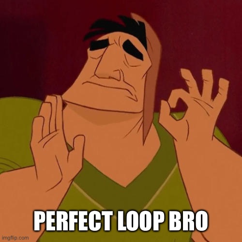 When X just right | PERFECT LOOP BRO | image tagged in when x just right | made w/ Imgflip meme maker