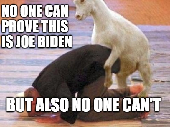 Is it or isn't it?We have to vote so we can find out | NO ONE CAN
PROVE THIS
IS JOE BIDEN; BUT ALSO NO ONE CAN'T | image tagged in biden,goats,vote 2020,funny,memes,fun | made w/ Imgflip meme maker