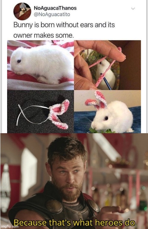 Awwwww. #2 | image tagged in thats what heroes do,bunny,memes,kindness,animals,sewing | made w/ Imgflip meme maker