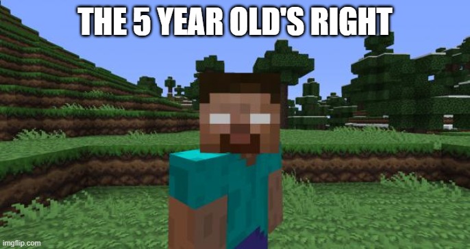 Herobrine | THE 5 YEAR OLD'S RIGHT | image tagged in herobrine | made w/ Imgflip meme maker