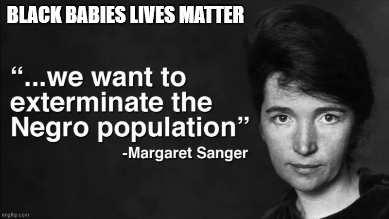 Planed parenthood racist baby killers,  All babies matter | BLACK BABIES LIVES MATTER | image tagged in all babies matter | made w/ Imgflip meme maker