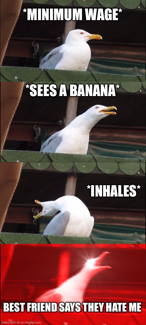 Inhaling Seagull | *MINIMUM WAGE*; *SEES A BANANA*; *INHALES*; BEST FRIEND SAYS THEY HATE ME | image tagged in memes,inhaling seagull | made w/ Imgflip meme maker